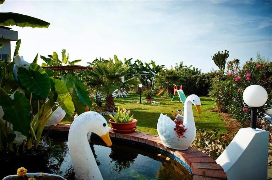 Case Vacanze Giardino 파르겔리아 외부 사진