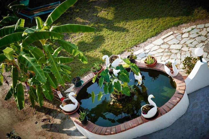 Case Vacanze Giardino 파르겔리아 외부 사진